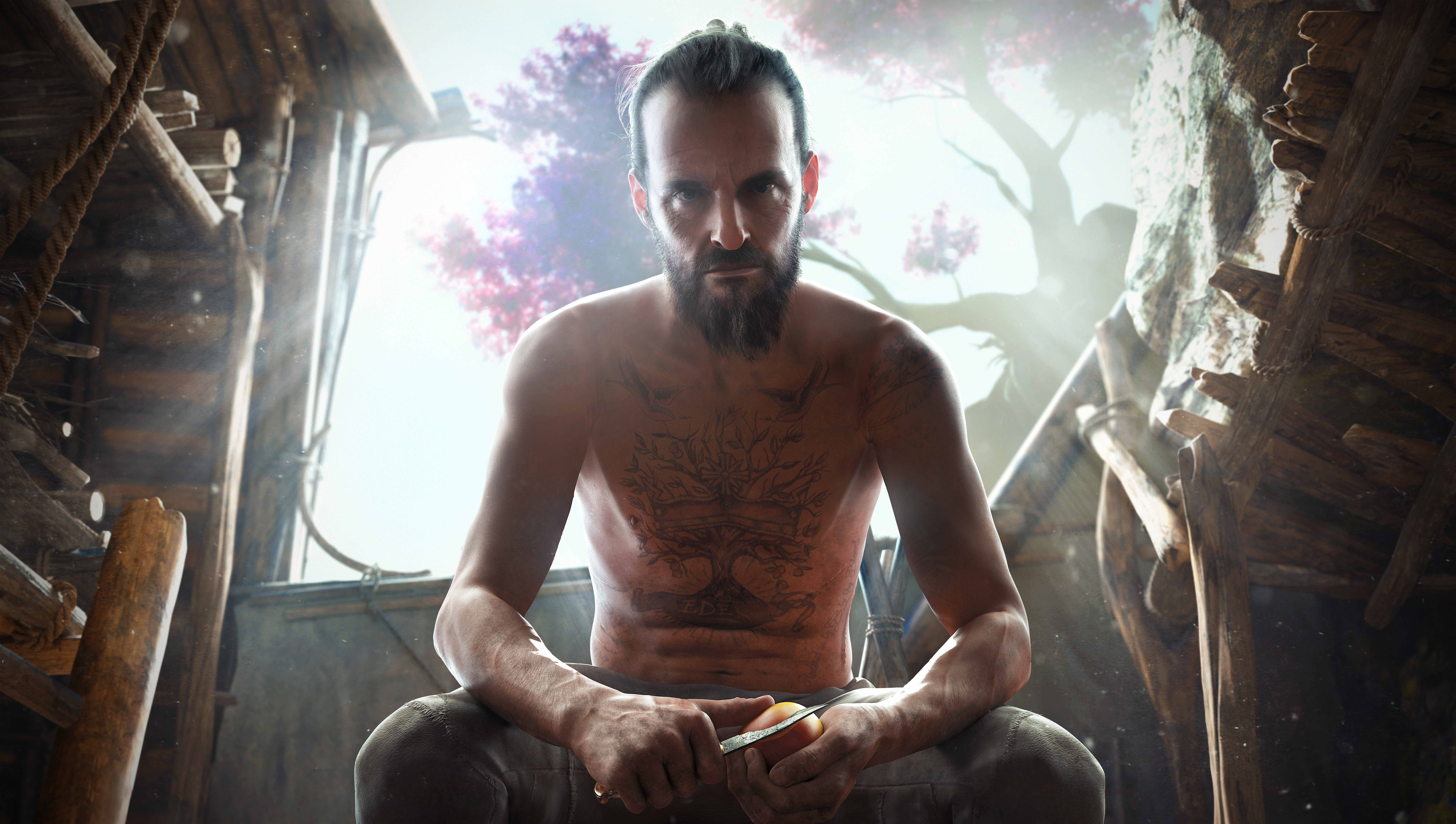 Far Cry New Dawn Wallpapers3